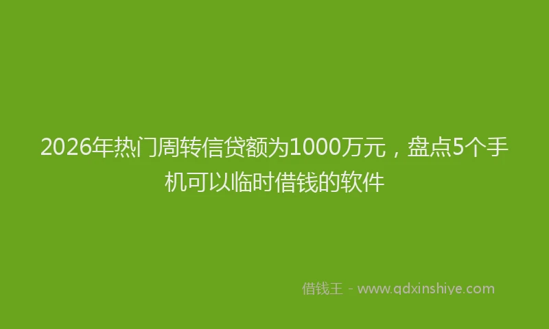 2026年热门周转信贷额为1000万元，盘点5个手机可以临时借钱的软件