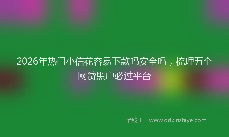 2026年热门小信花容易下款吗安全吗，梳理五个网贷黑户必过平台
