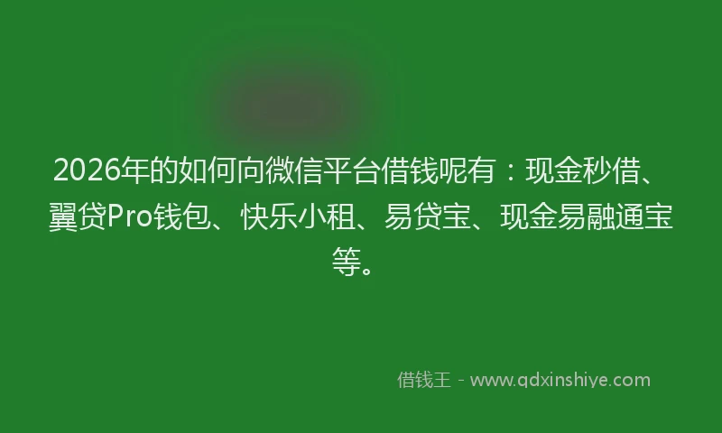 2026年的如何向微信平台借钱呢有：现金秒借、翼贷Pro钱包、快乐小租、易贷宝、现金易融通宝等。