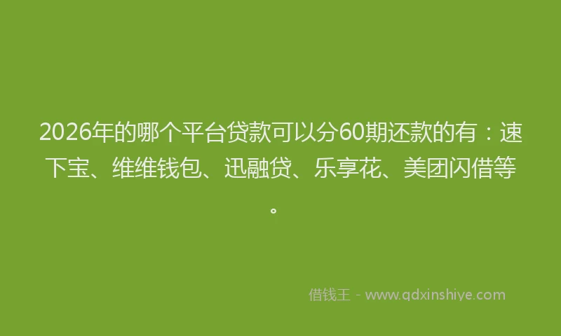 2026年的哪个平台贷款可以分60期还款的有：速下宝、维维钱包、迅融贷、乐享花、美团闪借等。