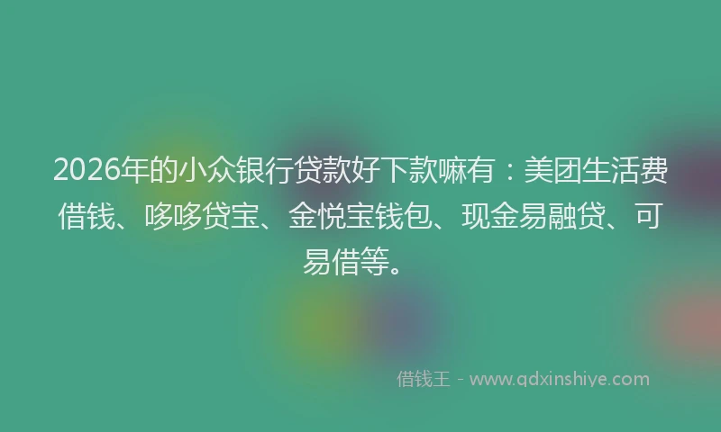 2026年的小众银行贷款好下款嘛有：美团生活费借钱、哆哆贷宝、金悦宝钱包、现金易融贷、可易借等。