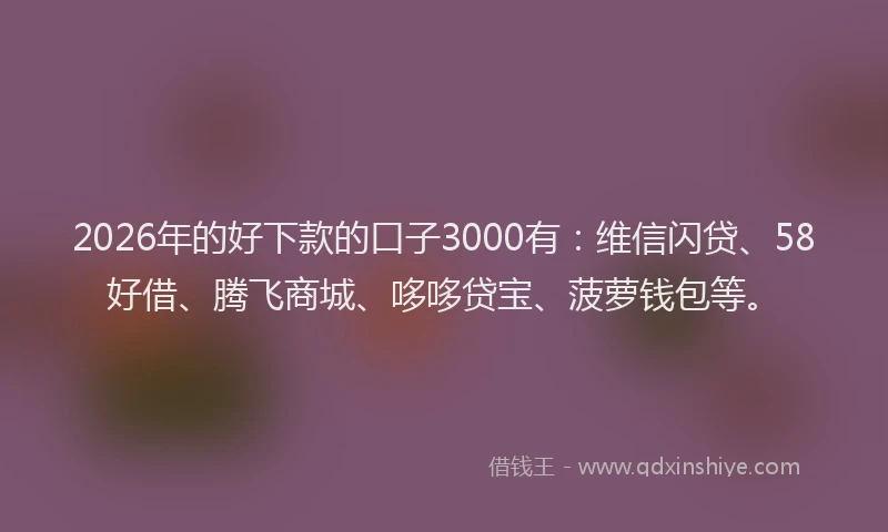2026年的好下款的口子3000有：维信闪贷、58好借、腾飞商城、哆哆贷宝、菠萝钱包等。