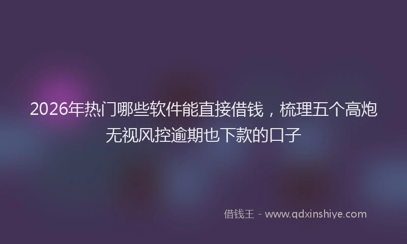 2026年热门哪些软件能直接借钱，梳理五个高炮无视风控逾期也下款的口子