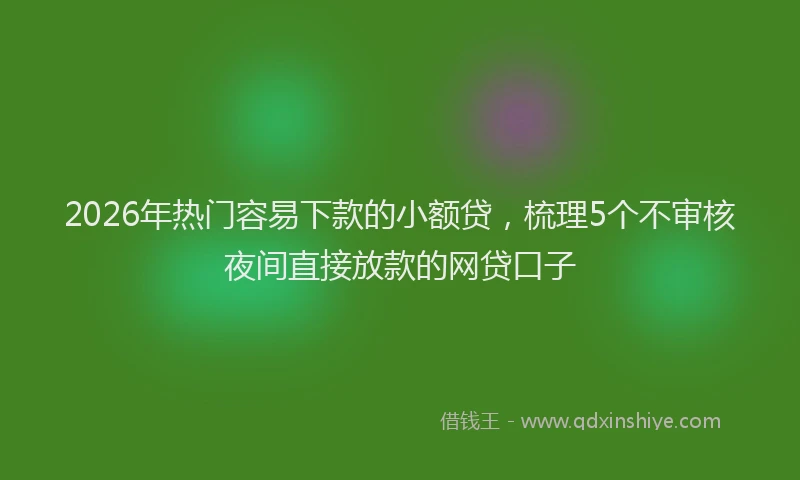 2026年热门容易下款的小额贷，梳理5个不审核夜间直接放款的网贷口子