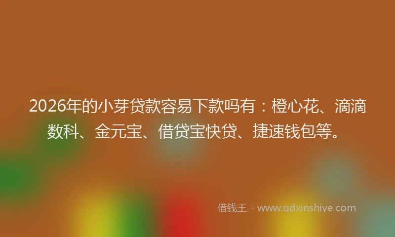 2026年的小芽贷款容易下款吗有:橙心花、滴滴数科、金元宝、借贷宝快贷、捷速钱包等。