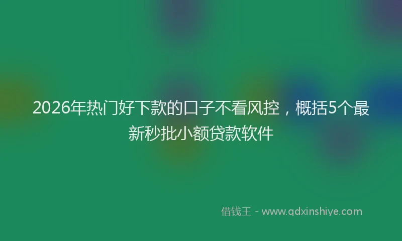2026年热门好下款的口子不看风控，概括5个最新秒批小额贷款软件