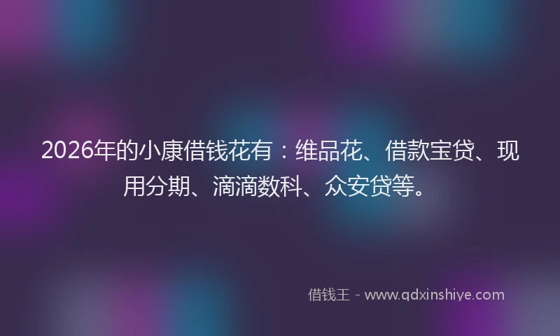 2026年的小康借钱花有：维品花、借款宝贷、现用分期、滴滴数科、众安贷等。