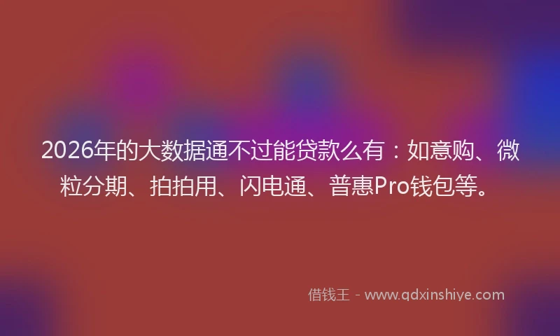 2026年的大数据通不过能贷款么有：如意购、微粒分期、拍拍用、闪电通、普惠Pro钱包等。