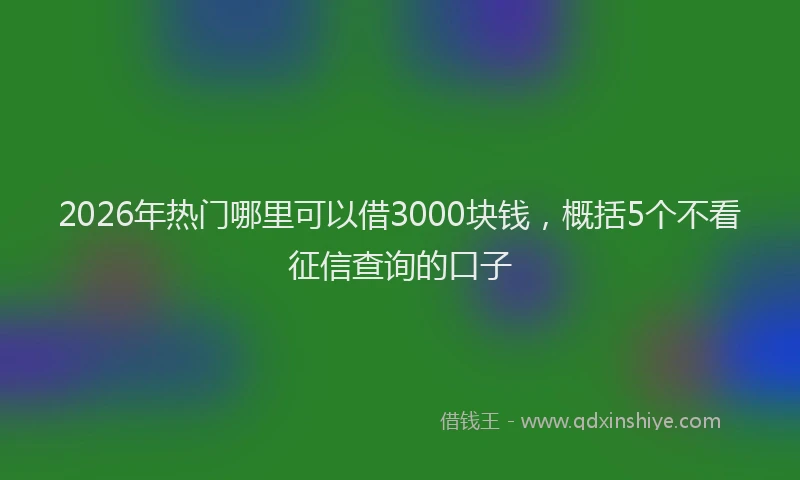 2026年热门哪里可以借3000块钱，概括5个不看征信查询的口子