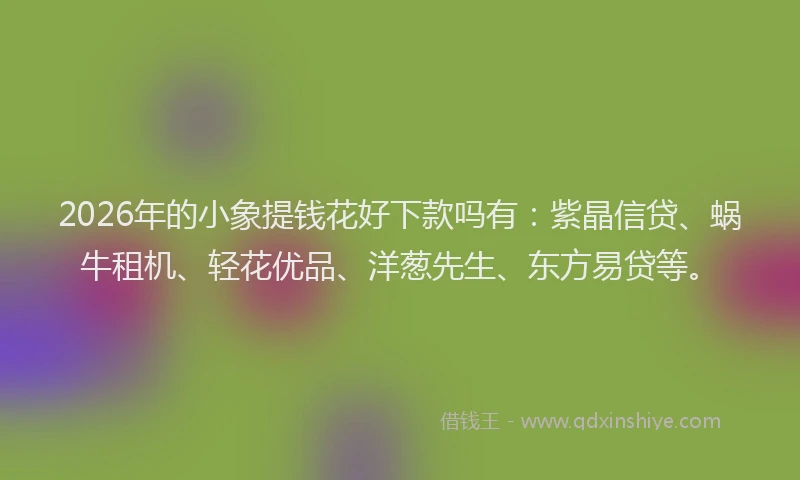 2026年的小象提钱花好下款吗有：紫晶信贷、蜗牛租机、轻花优品、洋葱先生、东方易贷等。