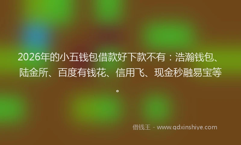 2026年的小五钱包借款好下款不有:浩瀚钱包、陆金所、百度有钱花、信用飞、现金秒融易宝等。