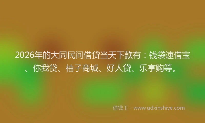 2026年的大同民间借贷当天下款有：钱袋速借宝、你我贷、柚子商城、好人贷、乐享购等。