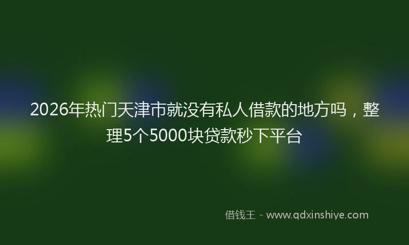 2026年热门天津市就没有私人借款的地方吗，整理5个5000块贷款秒下平台