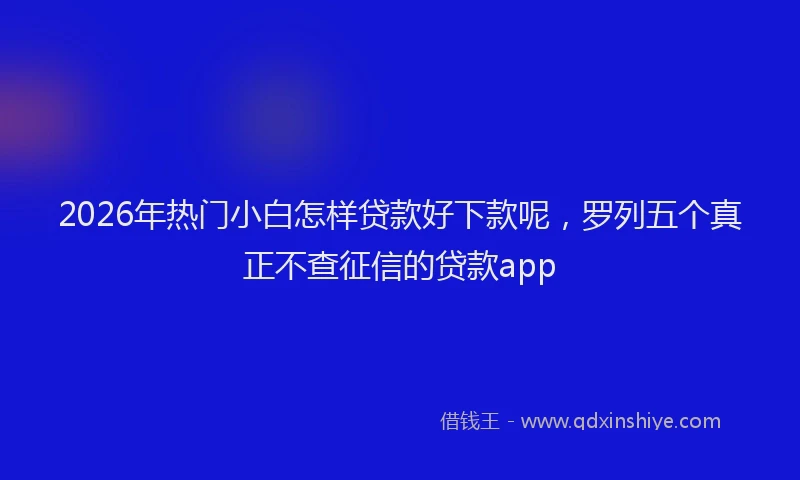 2026年热门小白怎样贷款好下款呢，罗列五个真正不查征信的贷款app