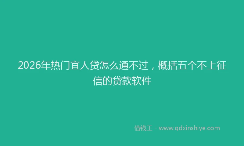 2026年热门宜人贷怎么通不过，概括五个不上征信的贷款软件