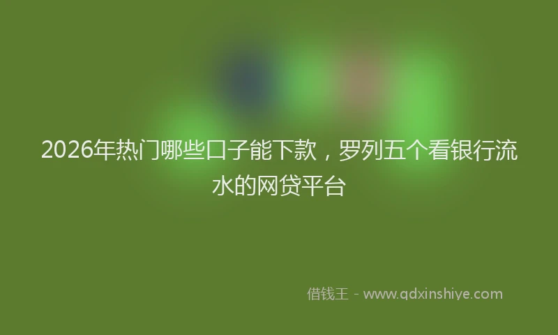 2026年热门哪些口子能下款，罗列五个看银行流水的网贷平台