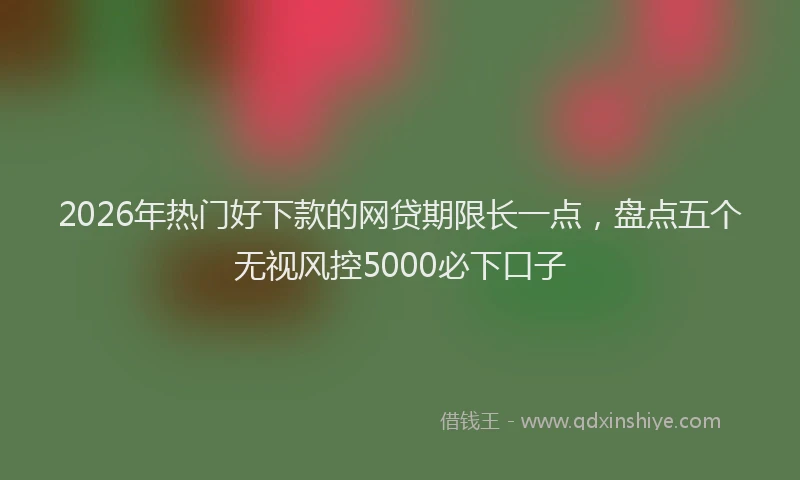 2026年热门好下款的网贷期限长一点，盘点五个无视风控5000必下口子