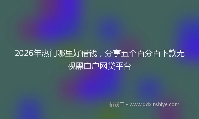2026年热门哪里好借钱，分享五个百分百下款无视黑白户网贷平台