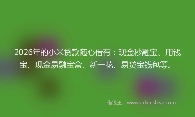2026年的小米贷款随心借有:现金秒融宝、用钱宝、现金易融宝盒、新一花、易贷宝钱包等。