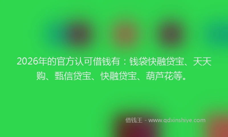 2026年的官方认可借钱有：钱袋快融贷宝、天天购、甄信贷宝、快融贷宝、葫芦花等。