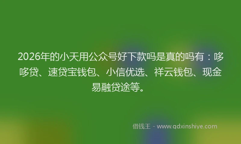 2026年的小天用公众号好下款吗是真的吗有：哆哆贷、速贷宝钱包、小信优选、祥云钱包、现金易融贷途等。