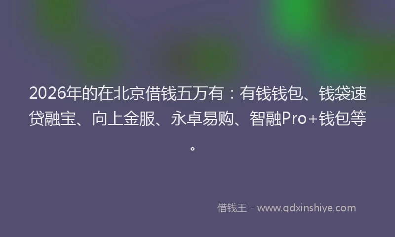2026年的在北京借钱五万有：有钱钱包、钱袋速贷融宝、向上金服、永卓易购、智融Pro+钱包等。