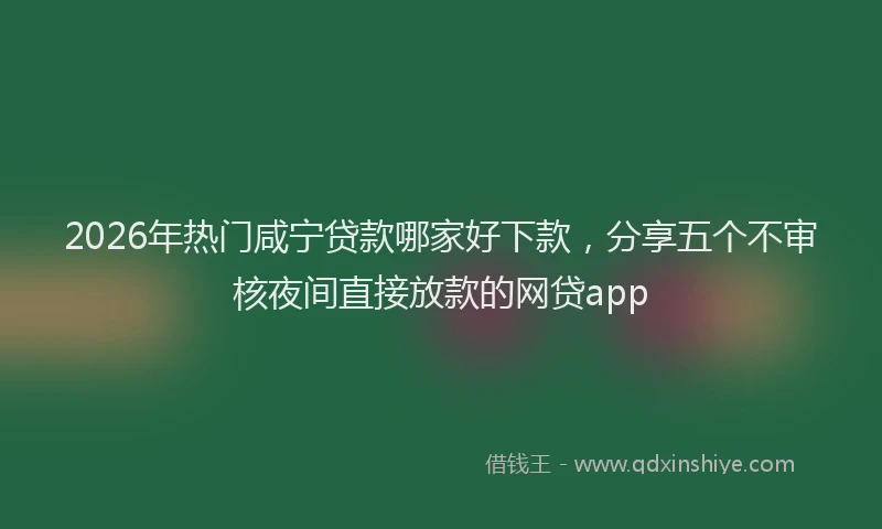 2026年热门咸宁贷款哪家好下款，分享五个不审核夜间直接放款的网贷app