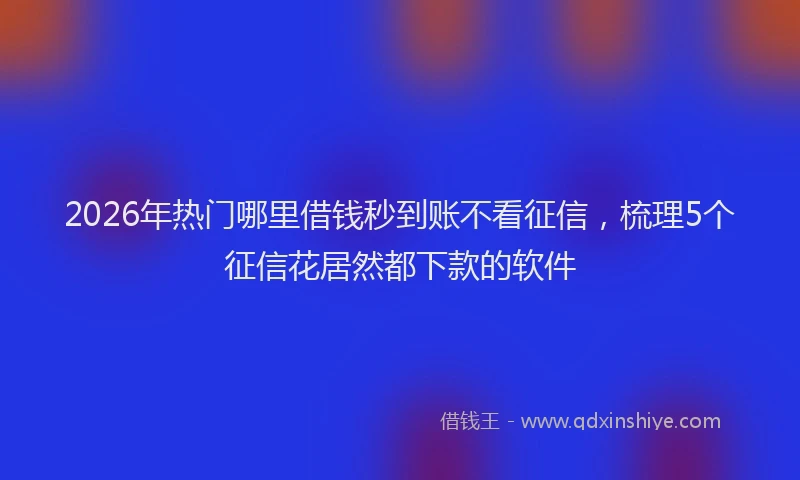 2026年热门哪里借钱秒到账不看征信，梳理5个征信花居然都下款的软件