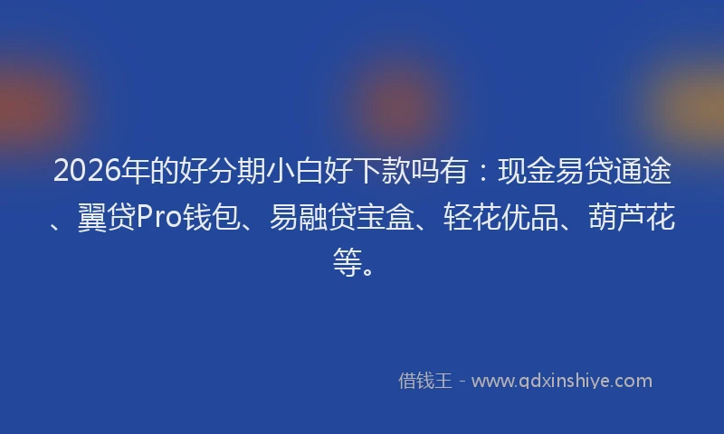 2026年的好分期小白好下款吗有：现金易贷通途、翼贷Pro钱包、易融贷宝盒、轻花优品、葫芦花等。