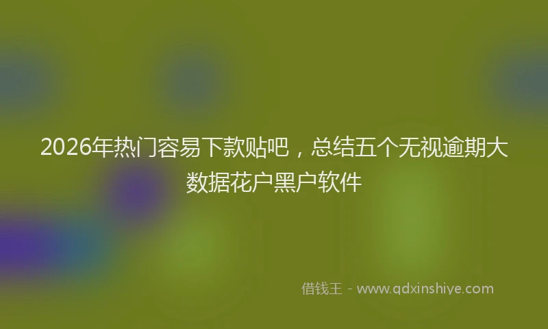 2026年热门容易下款贴吧，总结五个无视逾期大数据花户黑户软件