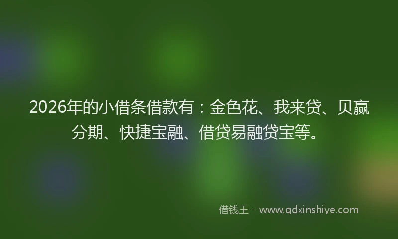2026年的小借条借款有：金色花、我来贷、贝赢分期、快捷宝融、借贷易融贷宝等。