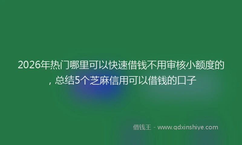 2026年热门哪里可以快速借钱不用审核小额度的，总结5个芝麻信用可以借钱的口子