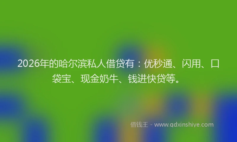 2026年的哈尔滨私人借贷有：优秒通、闪用、口袋宝、现金奶牛、钱进快贷等。