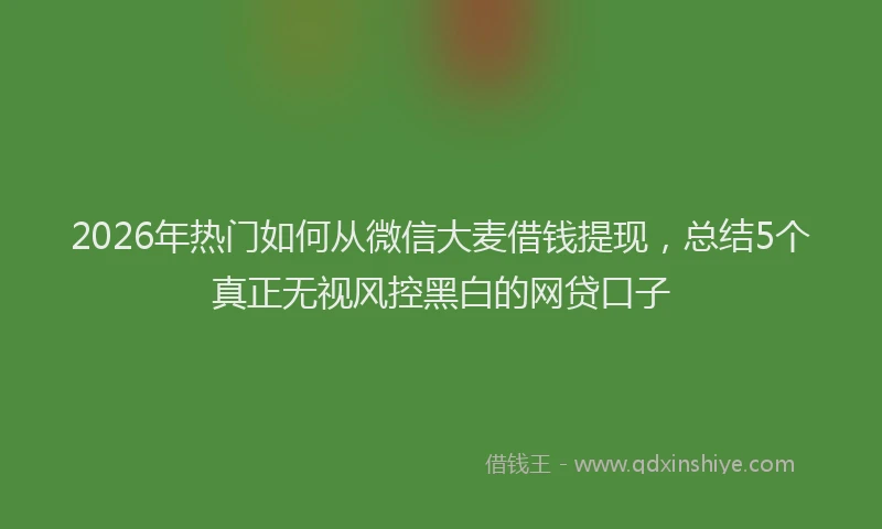 2026年热门如何从微信大麦借钱提现，总结5个真正无视风控黑白的网贷口子