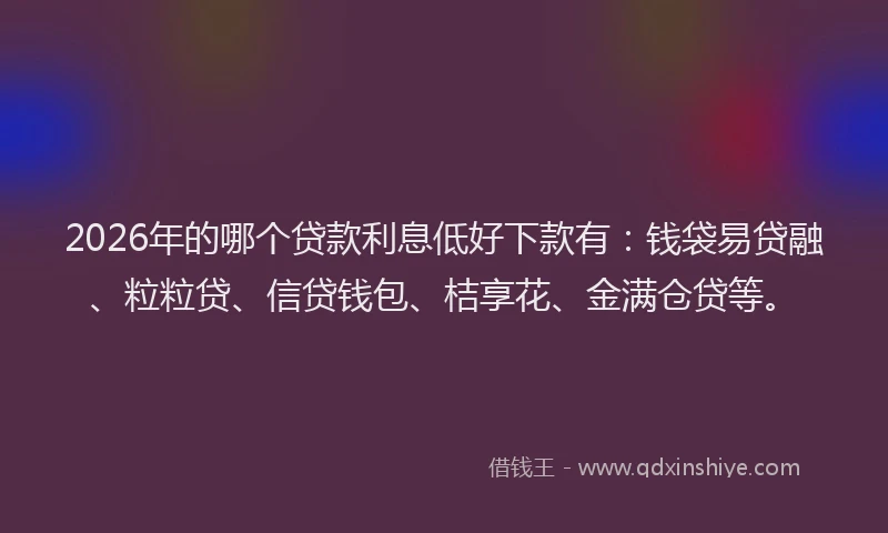 2026年的哪个贷款利息低好下款有：钱袋易贷融、粒粒贷、信贷钱包、桔享花、金满仓贷等。