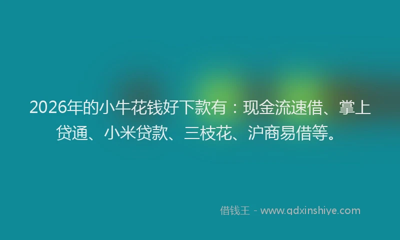 2026年的小牛花钱好下款有：现金流速借、掌上贷通、小米贷款、三枝花、沪商易借等。