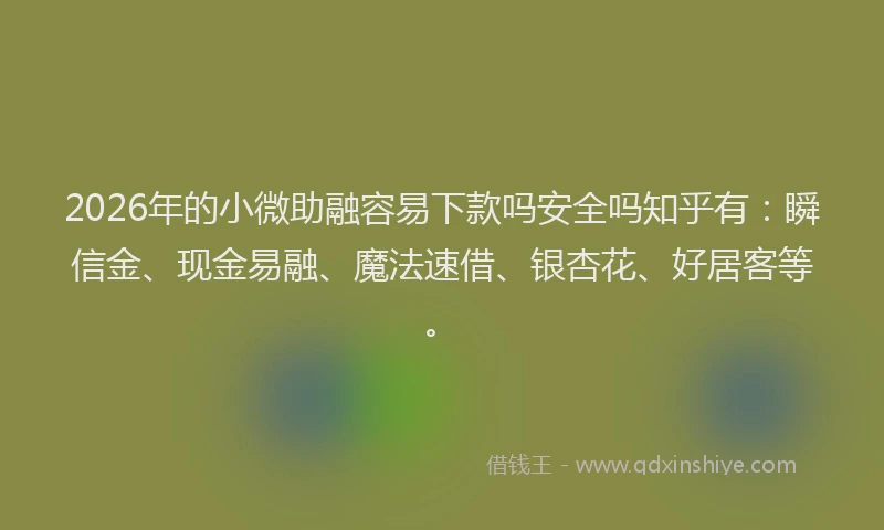2026年的小微助融容易下款吗安全吗知乎有：瞬信金、现金易融、魔法速借、银杏花、好居客等。