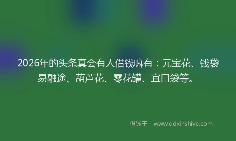 2026年的头条真会有人借钱嘛有：元宝花、钱袋易融途、葫芦花、零花罐、宜口袋等。