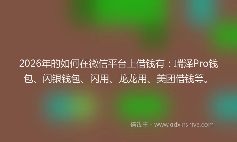 2026年的如何在微信平台上借钱有：瑞泽Pro钱包、闪银钱包、闪用、龙龙用、美团借钱等。