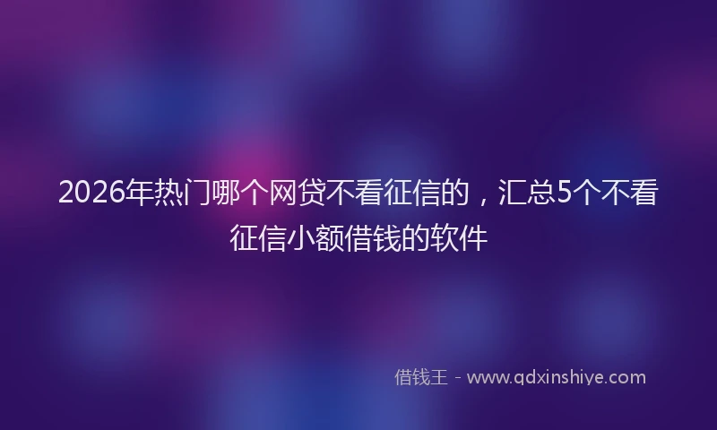 2026年热门哪个网贷不看征信的，汇总5个不看征信小额借钱的软件
