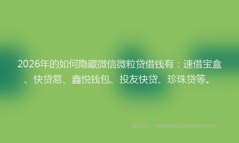 2026年的如何隐藏微信微粒贷借钱有：速借宝盒、快贷易、鑫悦钱包、投友快贷、珍珠贷等。