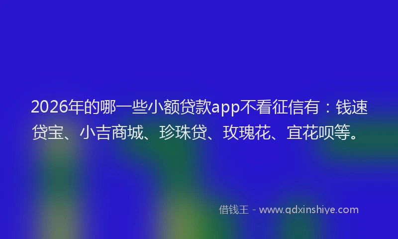 2026年的哪一些小额贷款app不看征信有：钱速贷宝、小吉商城、珍珠贷、玫瑰花、宜花呗等。