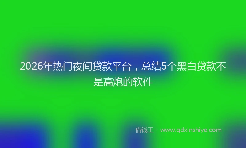 2026年热门夜间贷款平台，总结5个黑白贷款不是高炮的软件