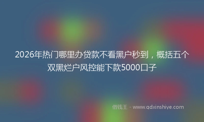 2026年热门哪里办贷款不看黑户秒到，概括五个双黑烂户风控能下款5000口子