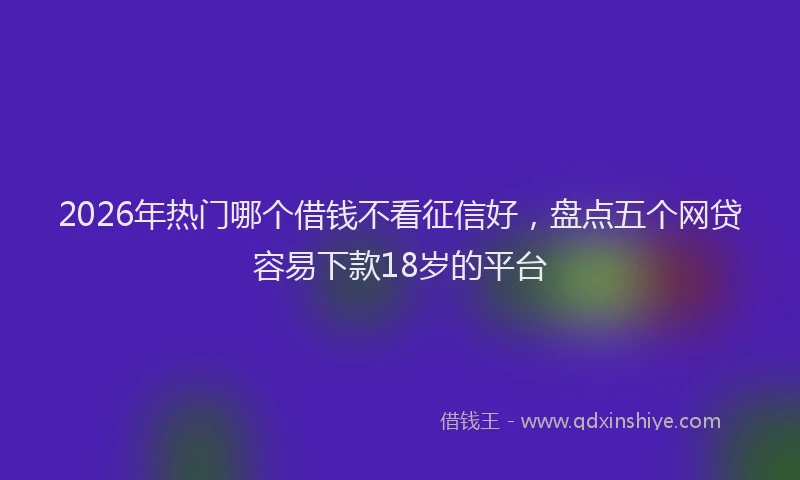 2026年热门哪个借钱不看征信好，盘点五个网贷容易下款18岁的平台