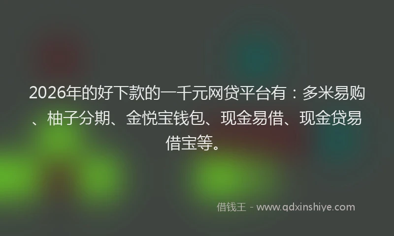 2026年的好下款的一千元网贷平台有：多米易购、柚子分期、金悦宝钱包、现金易借、现金贷易借宝等。
