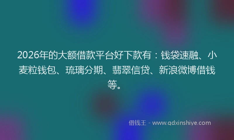 2026年的大额借款平台好下款有：钱袋速融、小麦粒钱包、琉璃分期、翡翠信贷、新浪微博借钱等。