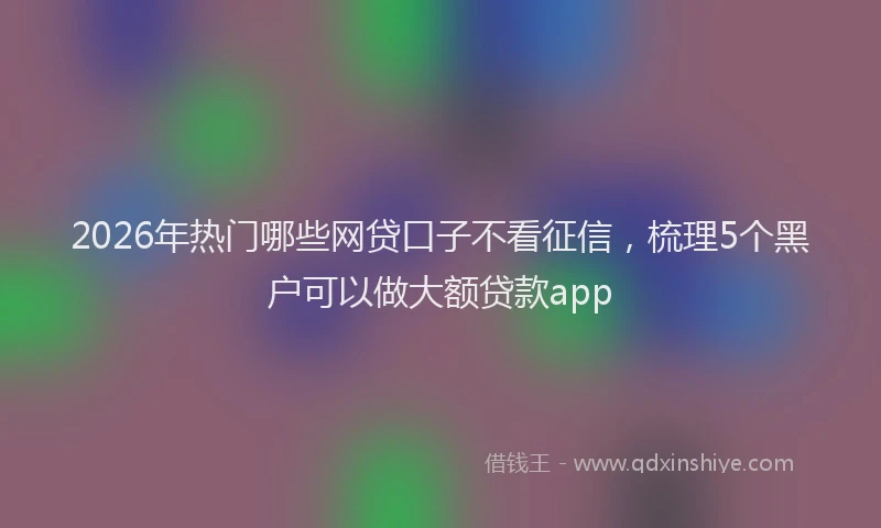 2026年热门哪些网贷口子不看征信，梳理5个黑户可以做大额贷款app