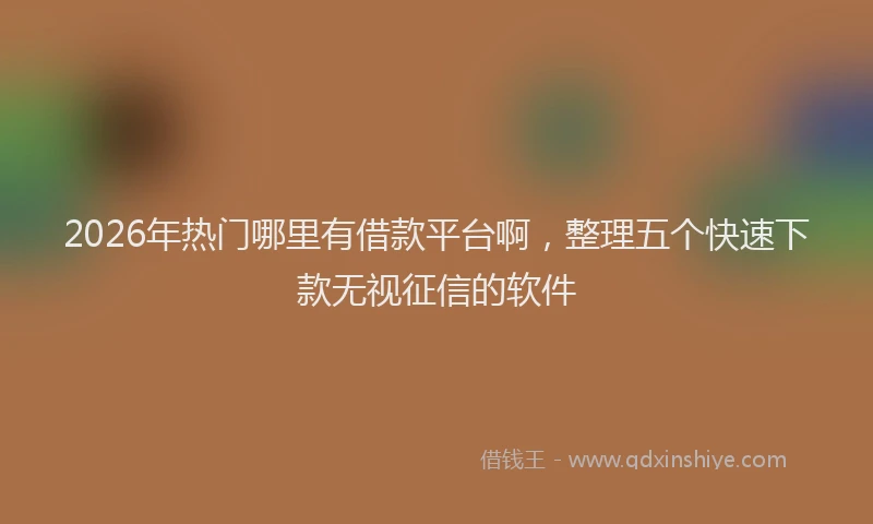 2026年热门哪里有借款平台啊，整理五个快速下款无视征信的软件