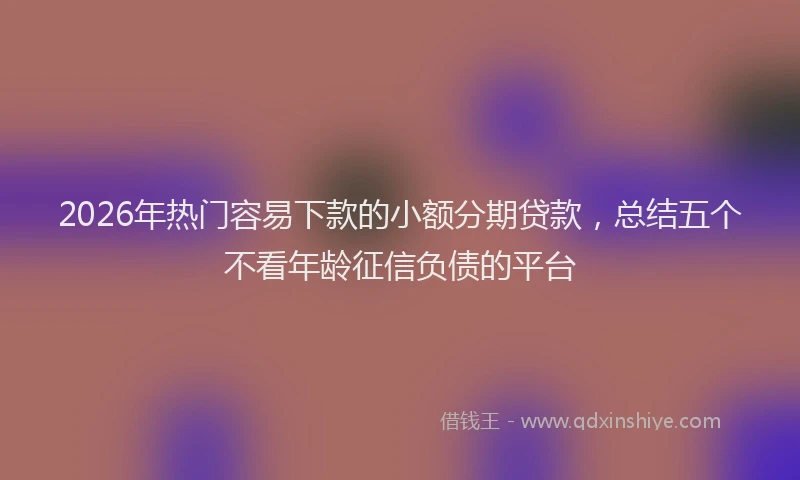 2026年热门容易下款的小额分期贷款，总结五个不看年龄征信负债的平台